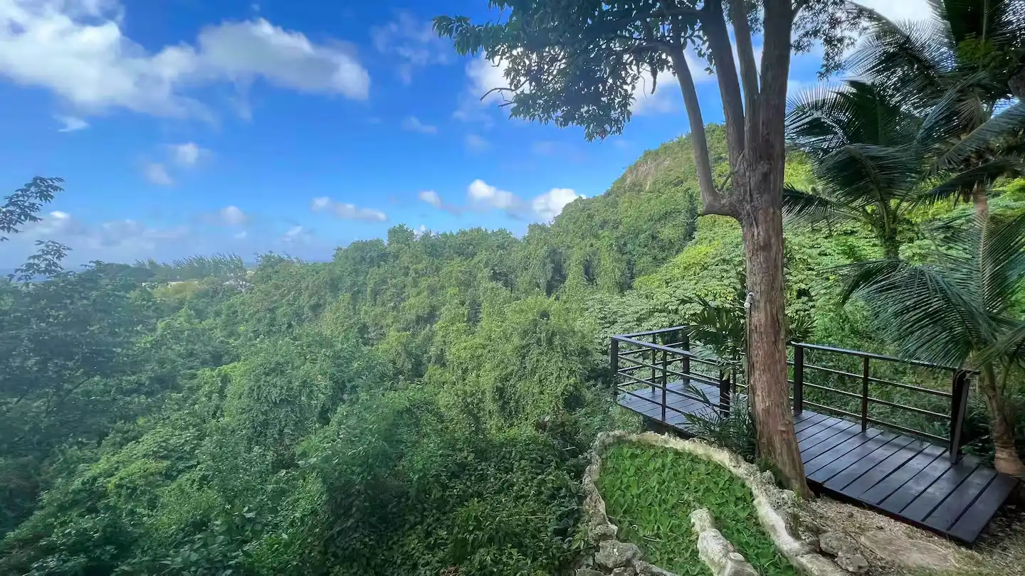 Tropical gardens and pool at our boutique west coast sanctuary