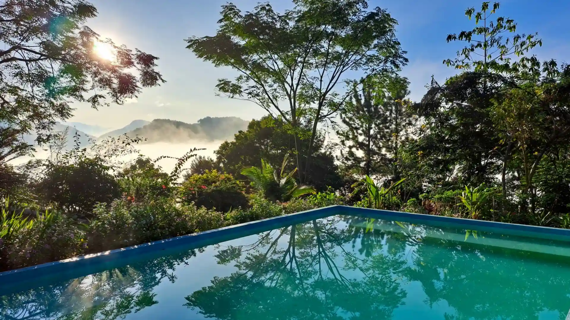 Tropical sanctuary in the Knuckles Mountains, Sri Lanka